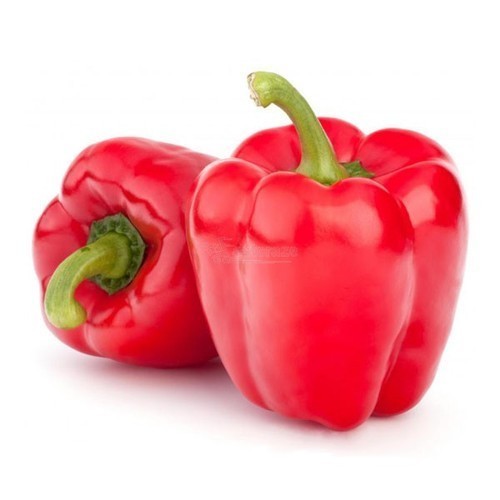 Fresh Red Capsicum