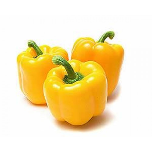 Fresh Yellow Capsicum, Packaging Type : Plastic Bag