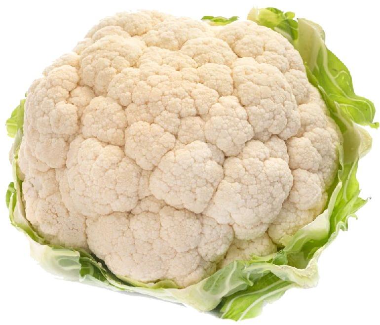 Natural Fresh Cauliflower, for Human Consumption, Home, Certification : FSSAI Certified