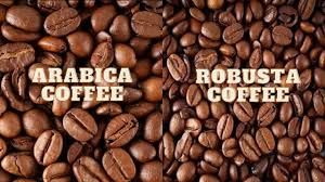 Arabica Robusta Coffee Beans