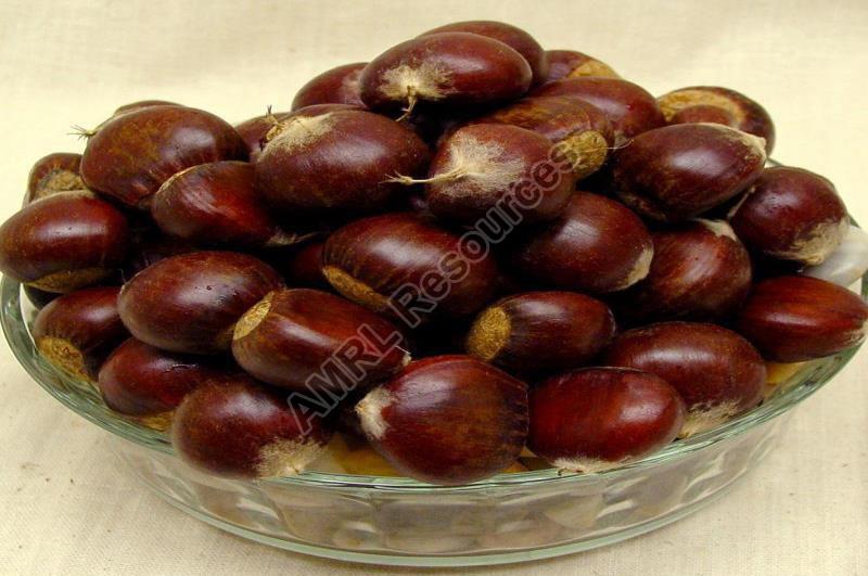 Chest Nuts, Taste : Sweet Fragrant Delicious Taste