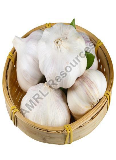 Fresh garlic, Size : 4.5cm-5.0cm, 5.0cm-5.5cm, 5.5cm-6.0cm, 6.5cm up