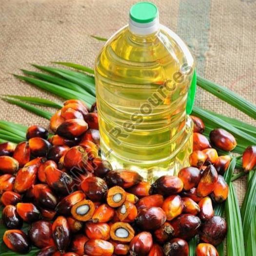 Refined palm oil, Purity : 99%