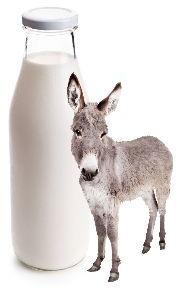 Fresh Donkey Milk, Purity : 98%