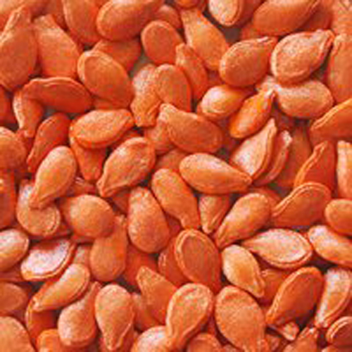 Ash Gourd Seed Coating Polymers, Color : Red, Green, Black, Blue, Orange, Magenta, Violet, White