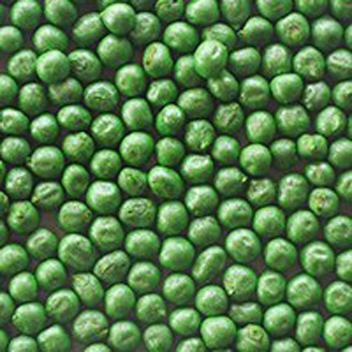 Bhindi Seed Coating Polymers