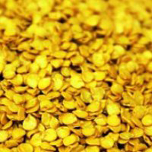 Chilli Seed Coating Polymer