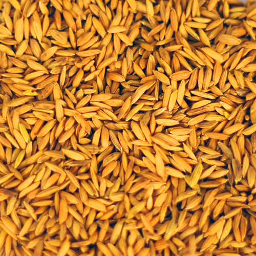 Paddy Seed Coating Polymer