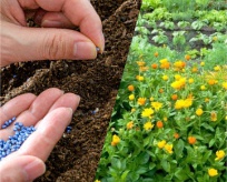 Seed Coating Polymer for Vegetable Crops, Color : Red, Green, Black, Blue, Orange, Magenta, Violet
