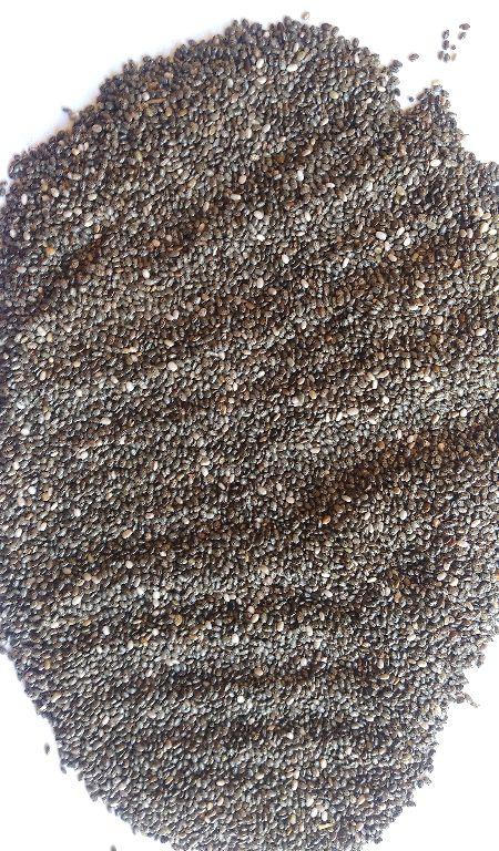 Organic chia seeds, Style : Dried, Natural
