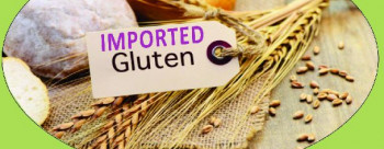 Alisha Enterprises Organic Imported Wheat Gluten, for Bakery Products, Form : Powder