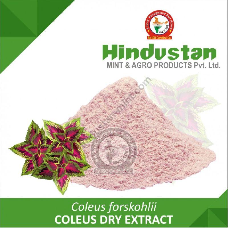 Coleus Dry Extract, Packaging Size : 25 Kg