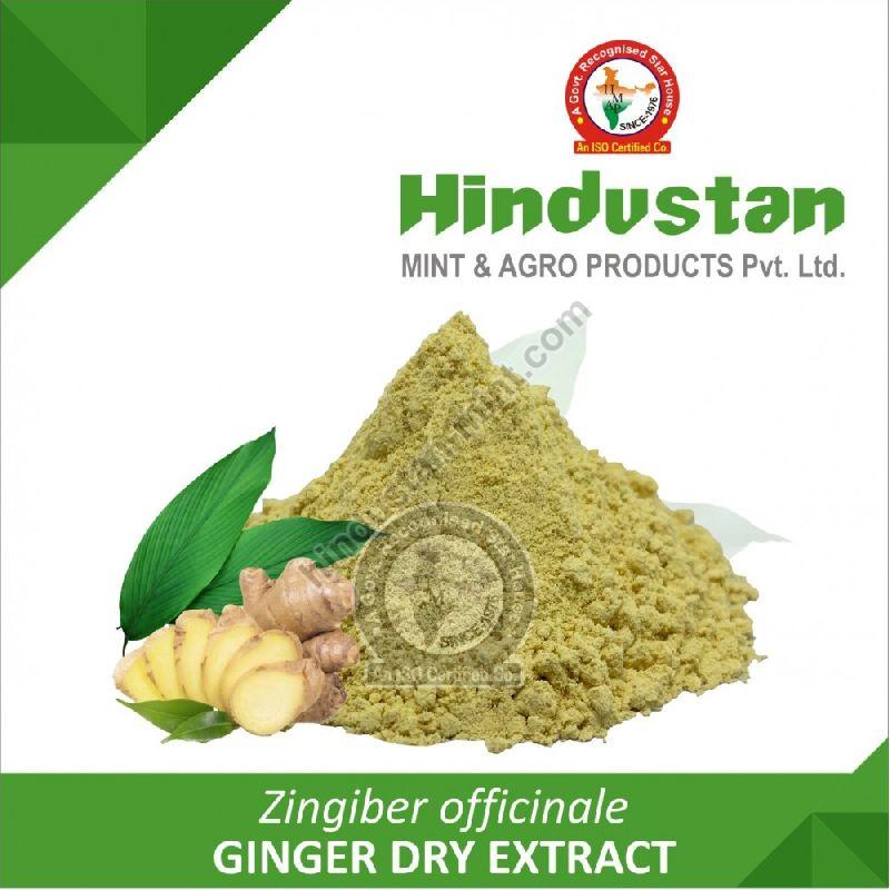 Ginger Dry Extract, Packaging Size : 25 Kg