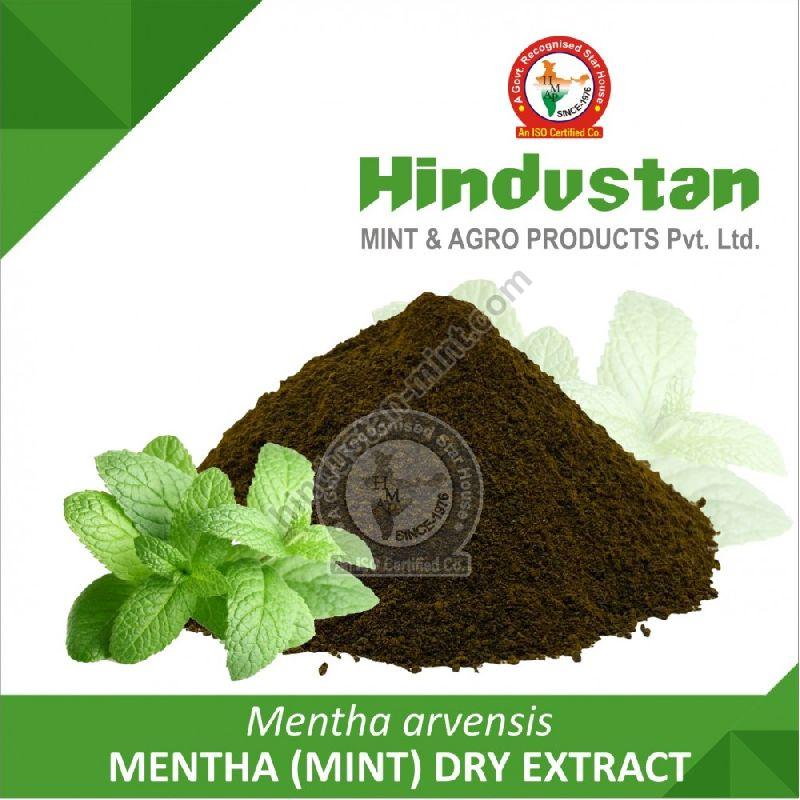 mentha dry extract