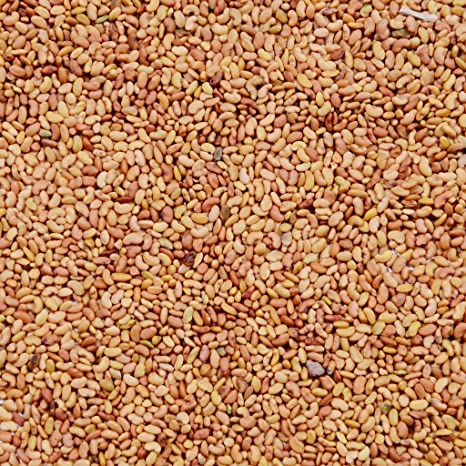Organic Alfalfa Seeds, Style : Dried