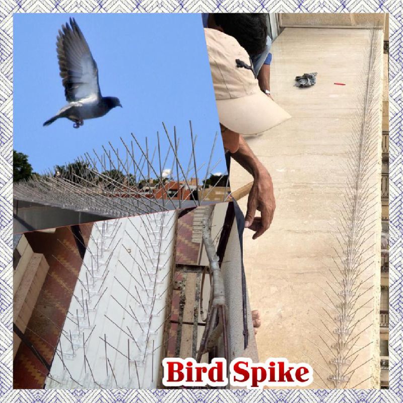 Steel Bird Spike, Length : 5-10inch