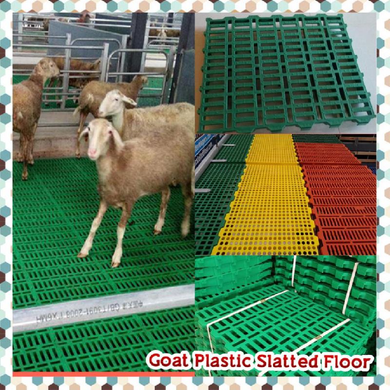 Goat Plastic Slatted Flooring, Pattern : Plain