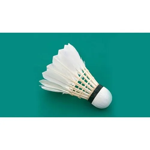 Badminton Shuttlecock Anspan, Kolkata