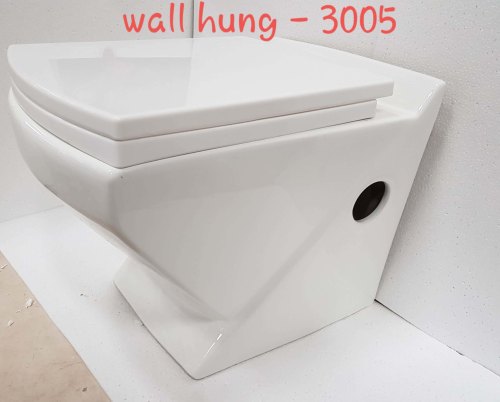 Wall Hung Toilet