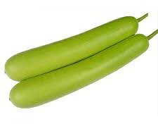 bottle gourd