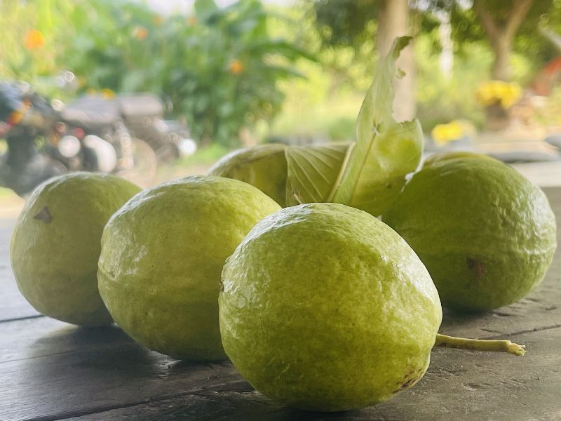 Retailer of Fresh Fruits from Bhopal, Madhya Pradesh by rathore farms