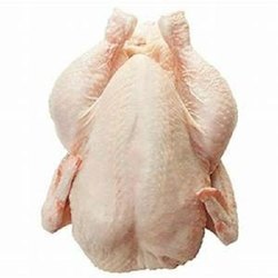 STARX Frozen Chicken Meat, Certification : ISO-9001: 2008