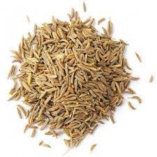 Cumin seeds