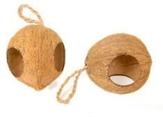 Coconut Two Hole Bird Feeder