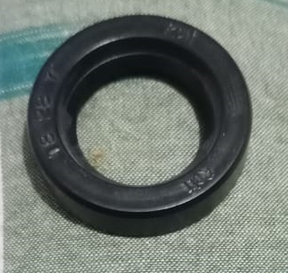 oil seal