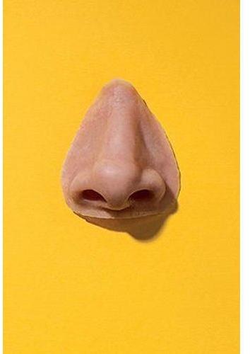 Silicone Nose Prosthesis