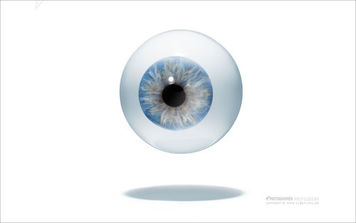 Durable Acrylic Artificial Eye