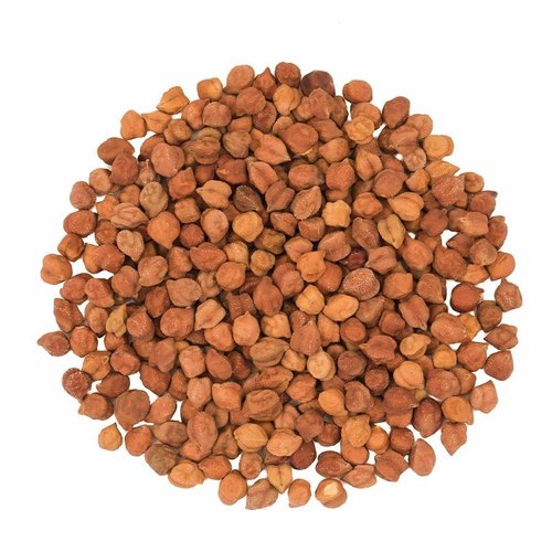 Natural Chana Seeds, for Agriculture, Feature : Hybrid
