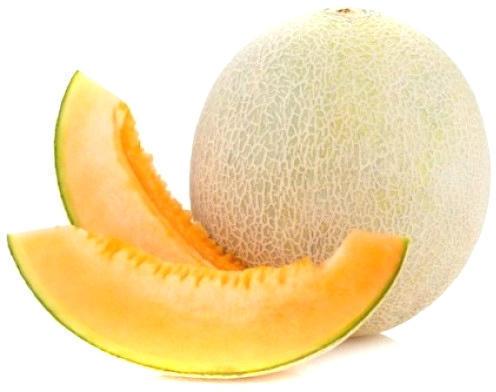 Natural fresh muskmelon, Shelf Life : 15-20 Days