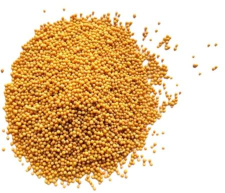 Yellow mustard seeds, Packaging Type : Plastic Packet
