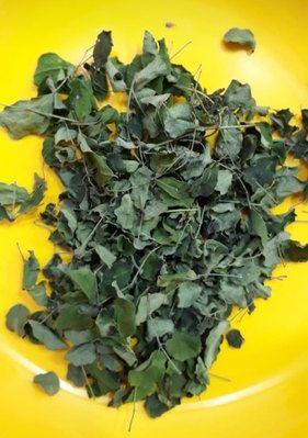 Natural Dried Moringa Leaves, for Cosmetics, Medicine, Feature : Exceptional Purity, Good Quality
