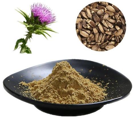 Milk Thistle Extract, Packaging Type : Bag, Drum, HDPE Packet