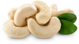 processed cashew nuts