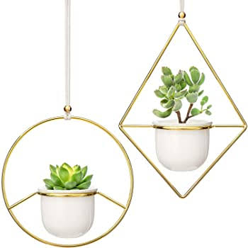  Round Polished Hanging planter pot, for Home Decoration, Size : 12x8Inch