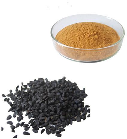 KAN Kalonji Extract, Packaging Type : Packet