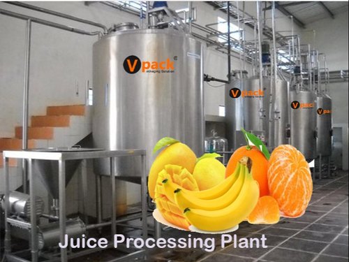 Fruit Processing Machine