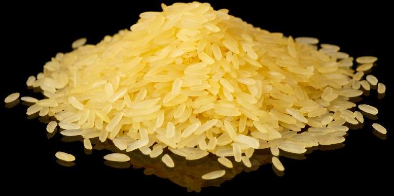 Sharbati Golden Sella Non Basmati Rice, Shelf Life : 12 Months, 18 Months, 24 Months