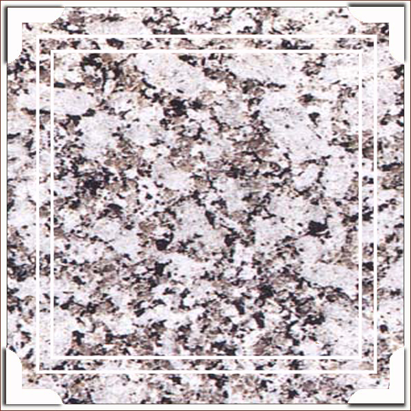 Platinum White Granite Slab