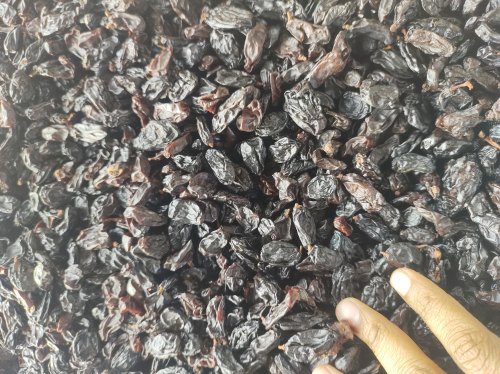 Average Black Raisins