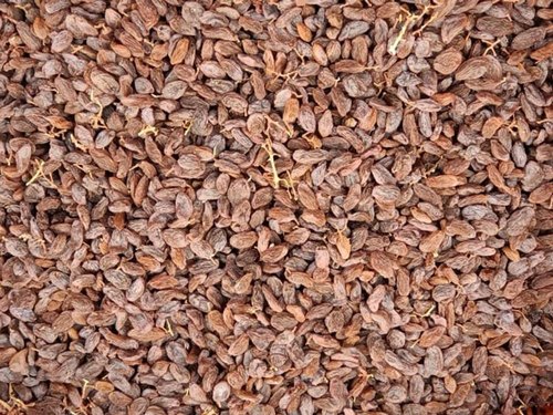 Organic Malyar Raisins, Color : Brown