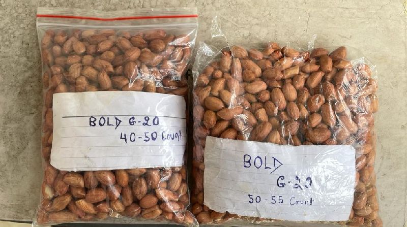 Peanuts All Grades (Java/BOLD /Tj) Gujrat &AMP;AMP; Rajasthan Supply