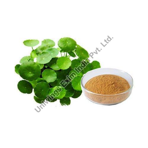 Organic bacopa monnieri extract, Packaging Size : 25-50 Kg