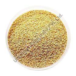 Organic Foxtail Millet, for High in Protein, Packaging Type : HDPE Bag