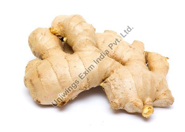 fresh ginger