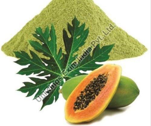 Organic Papaya Leaves Extract, for Medicinal, Food Additives, Beauty, Form : Powder