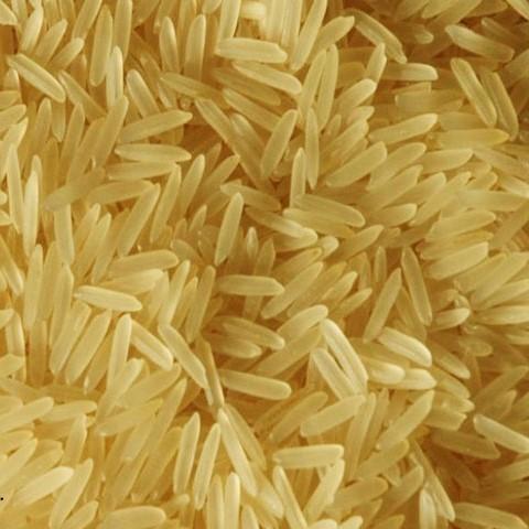 Organic Golden Basmati Rice, for High In Protein, Packaging Type : Non-Woven Bags